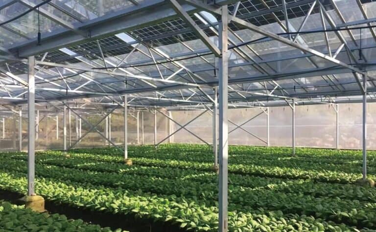 solar agriculture mounting system