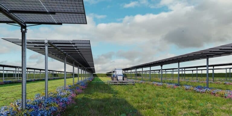 Simulation_Agri_PV-Projekt_DVP_Solar-e1715604464589